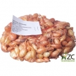 Cibule sazeka Vetana