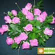 Jednodruhov� kytice r���.
