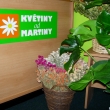 Nab�dka vybran�ch su�en�ch kv�tin.