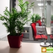 Uk�zka realizace interi�ru kancel��sk�ch prostor - kv�tinov� v�zdoba - Chamadeora