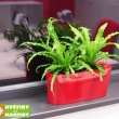 Ukzka realizace interiru kancelskch prostor - kvtinov vzdoba - Asplenium