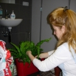 Osazovac� pr�ce do samozavla�ovac�ch n�dob Lechuza