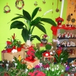 Nahl�dn�te do interi�ru prodejny...